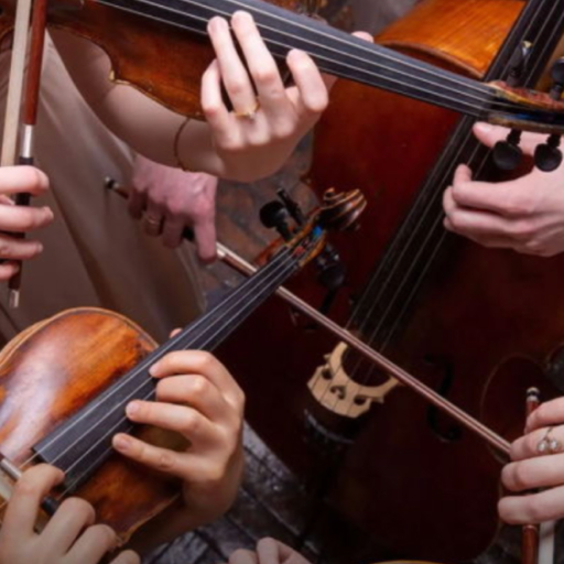 American Classical Orchestra Chamber Ensemble Concerts in Nashville