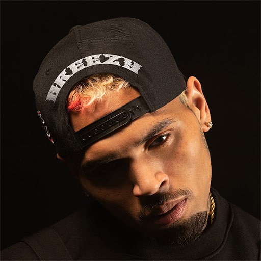 Chris Brown Concerts in Nashville